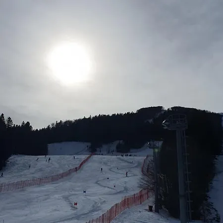 Smuk Bandic * Bjelašnica