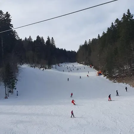 Smuk Bandic Bjelašnica