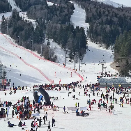 Smuk Bandic