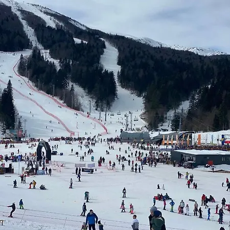 Apartman Smuk Bandic Bjelašnica