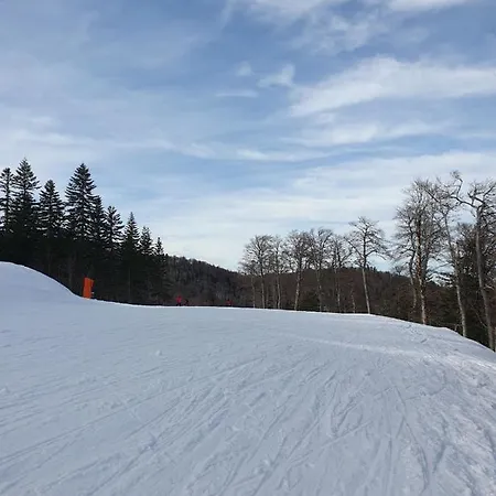 Smuk Bandic Apartman Bjelašnica
